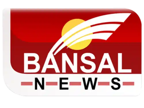 Bansal News logo